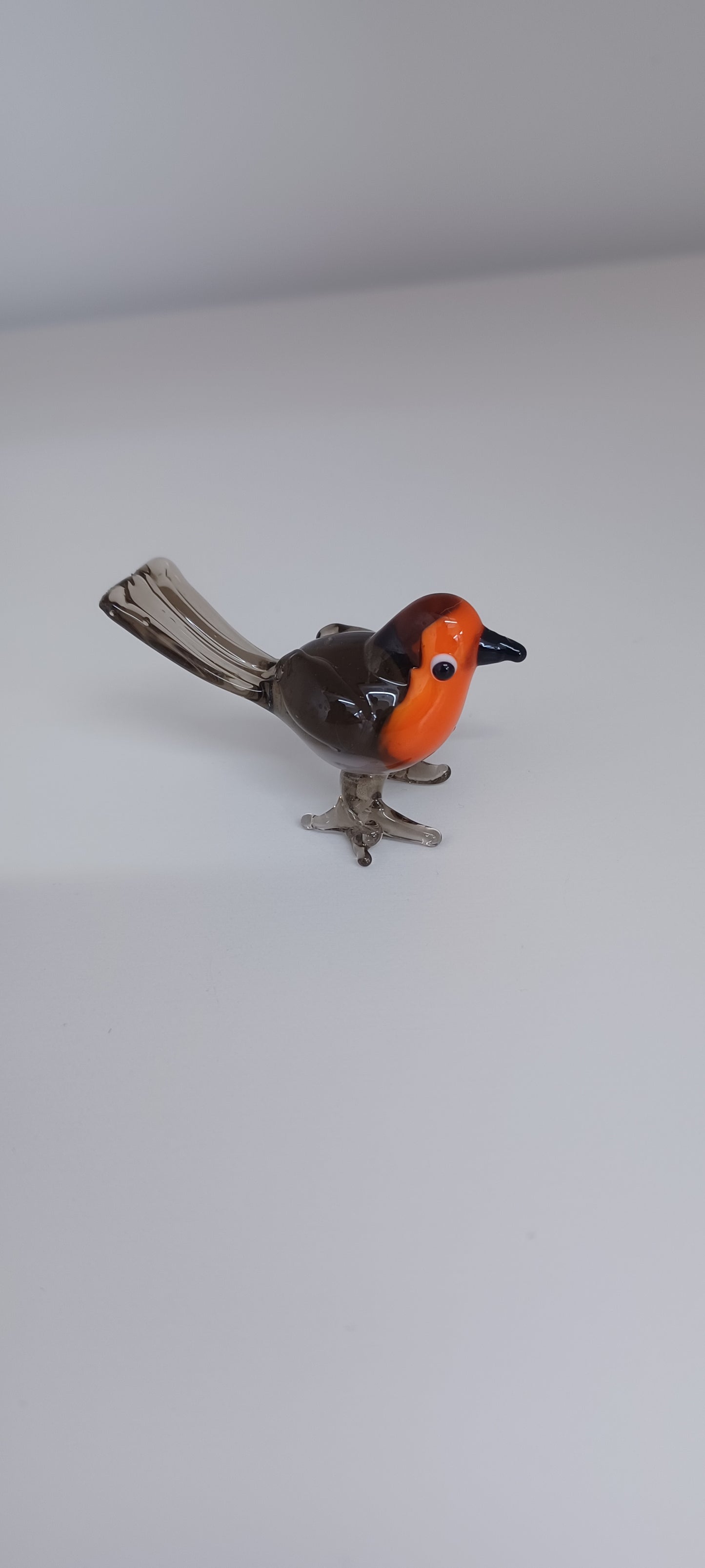 Glass Robin
