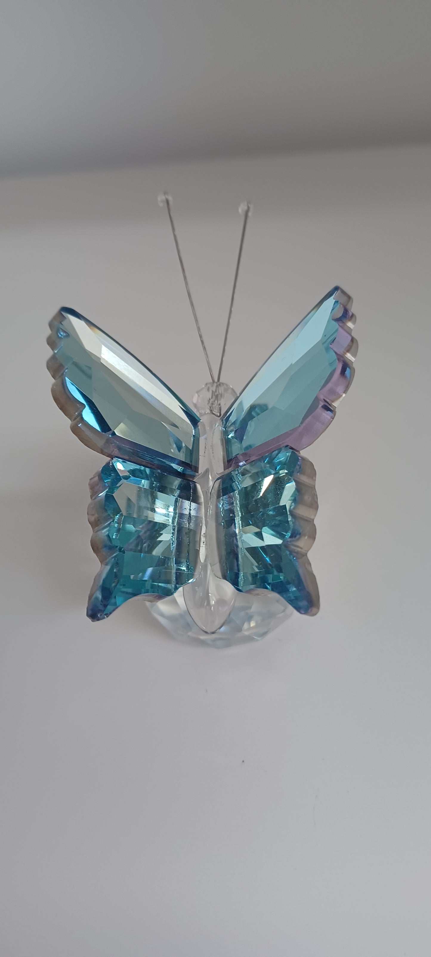 Glass Butterfly