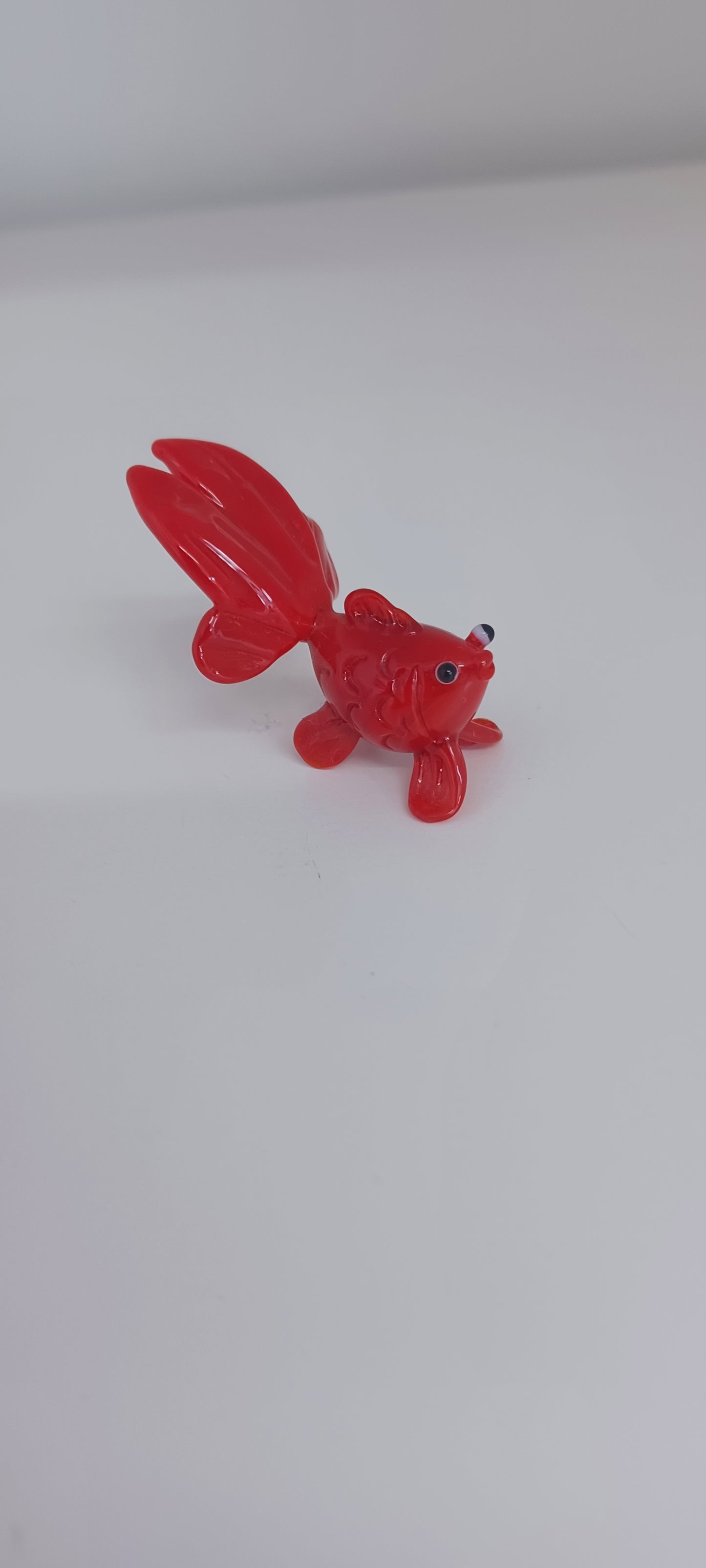 Glass Fish