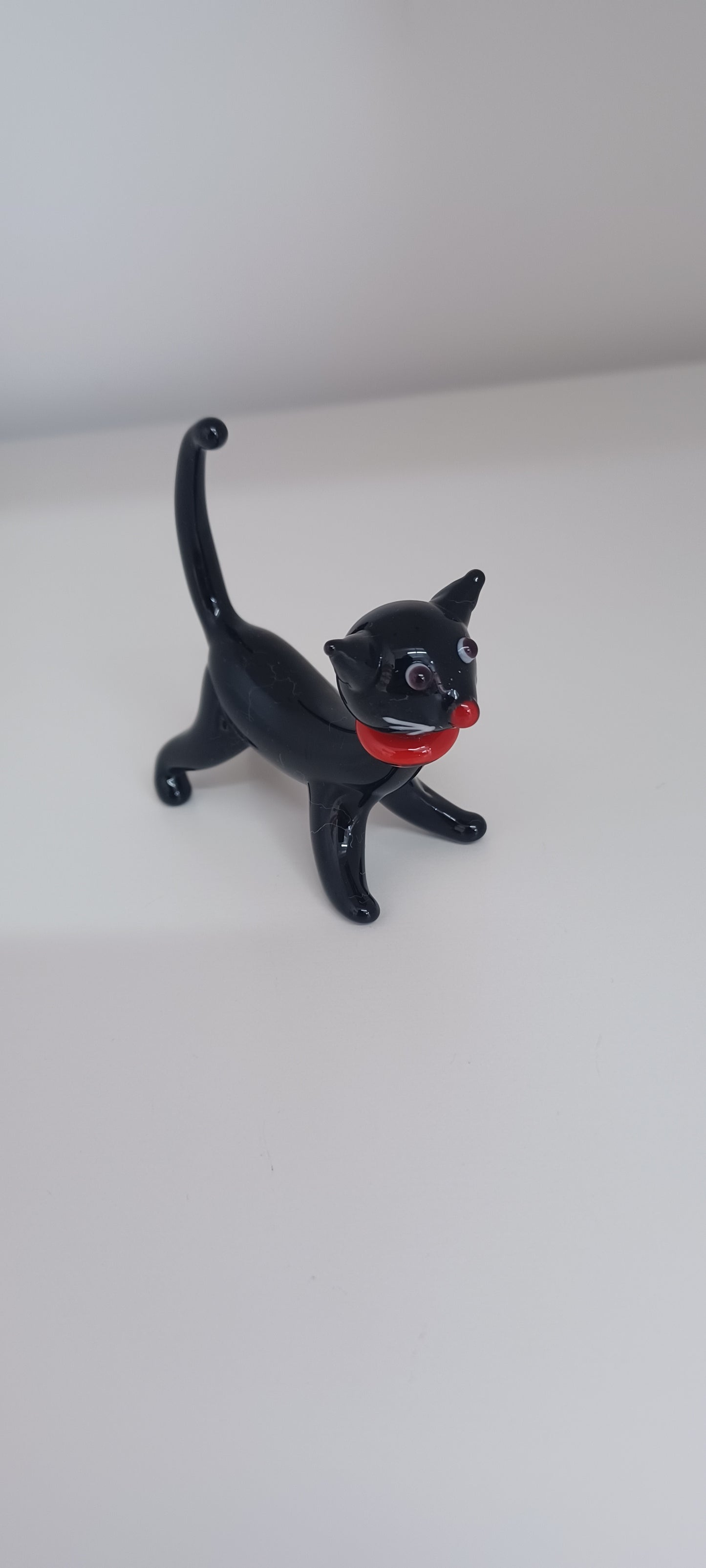 Glass Cat