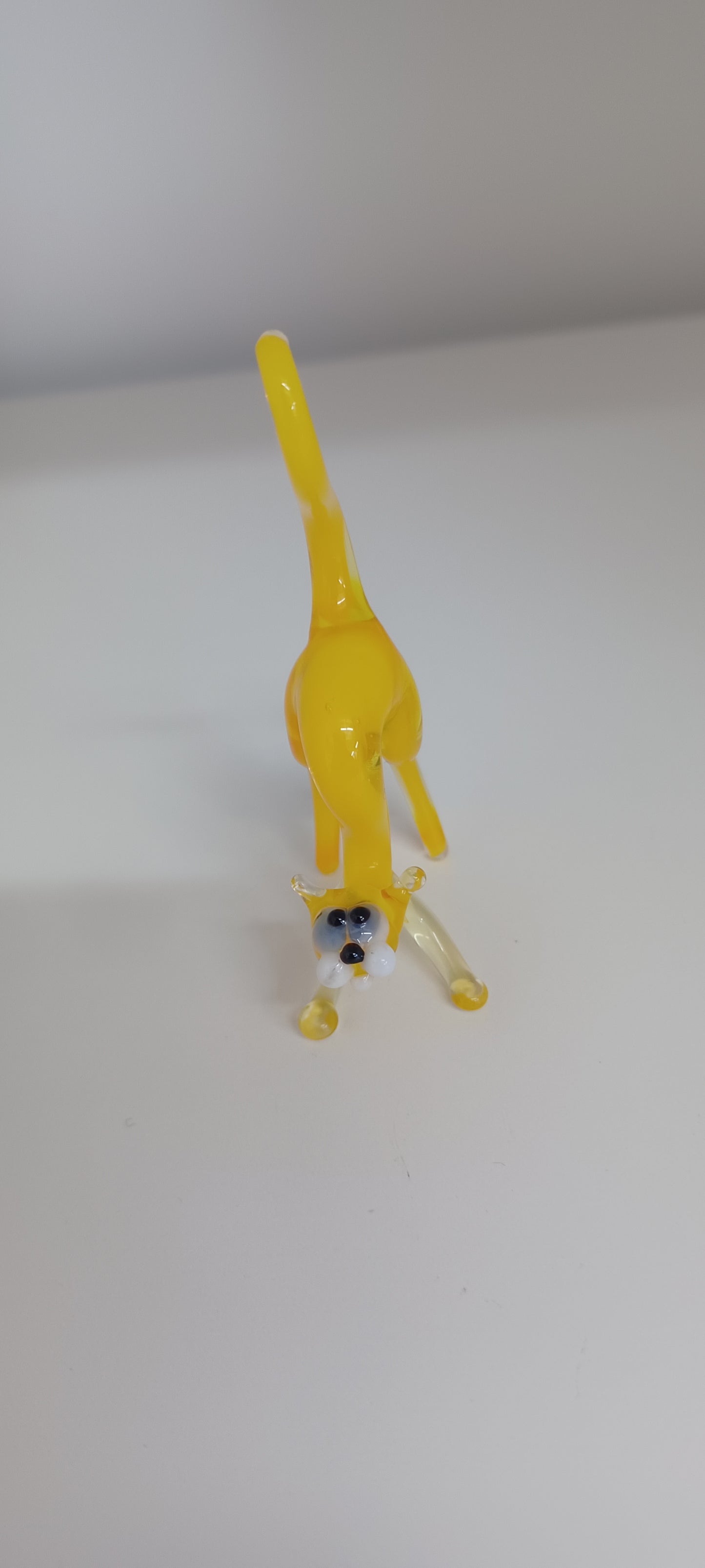 Glass Cat