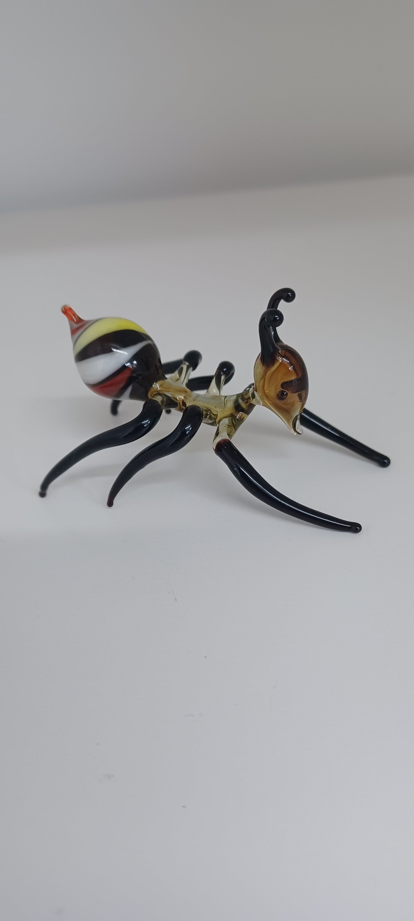 Glass Ant