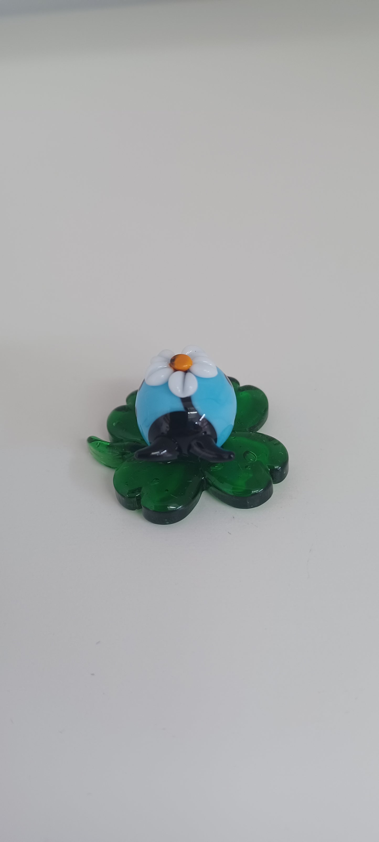 Glass Ladybird