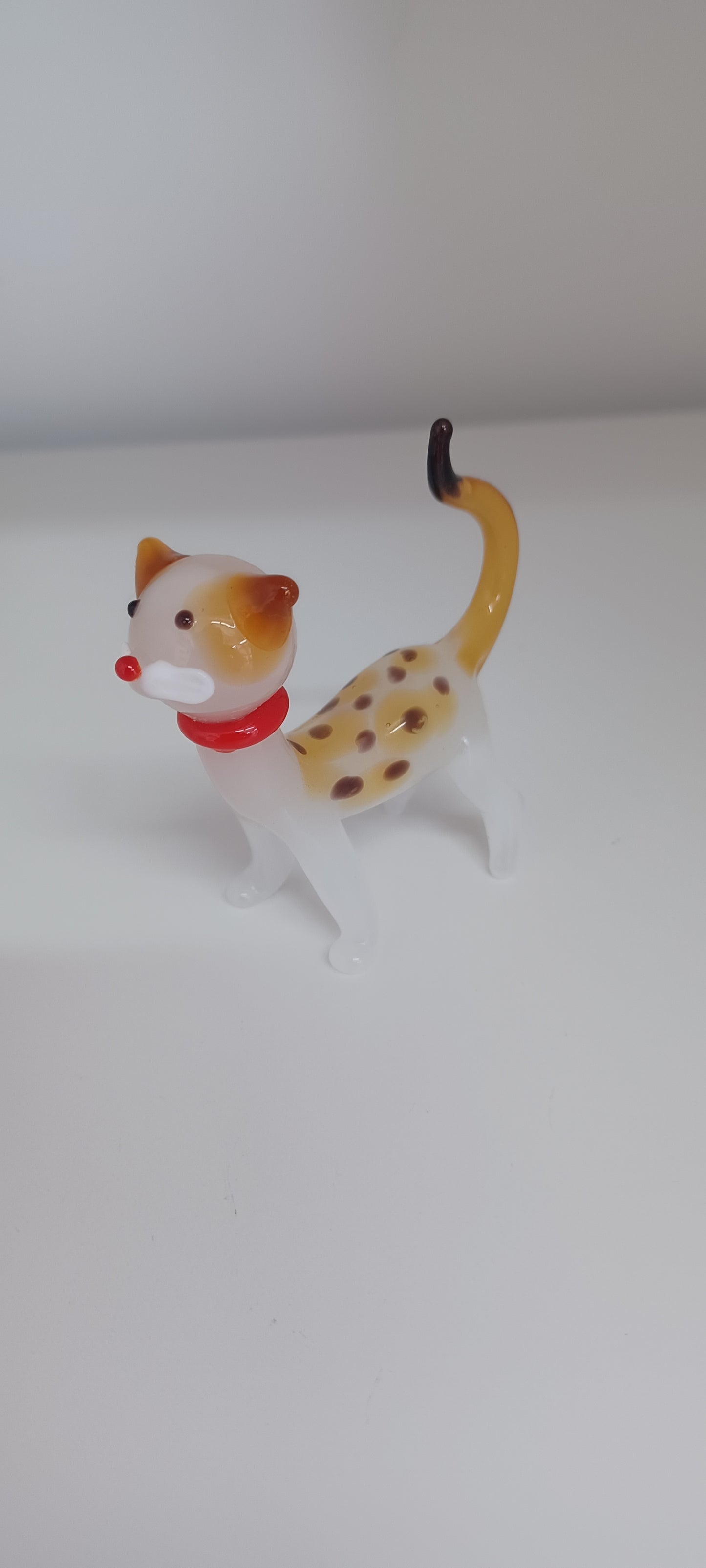 Glass Cat