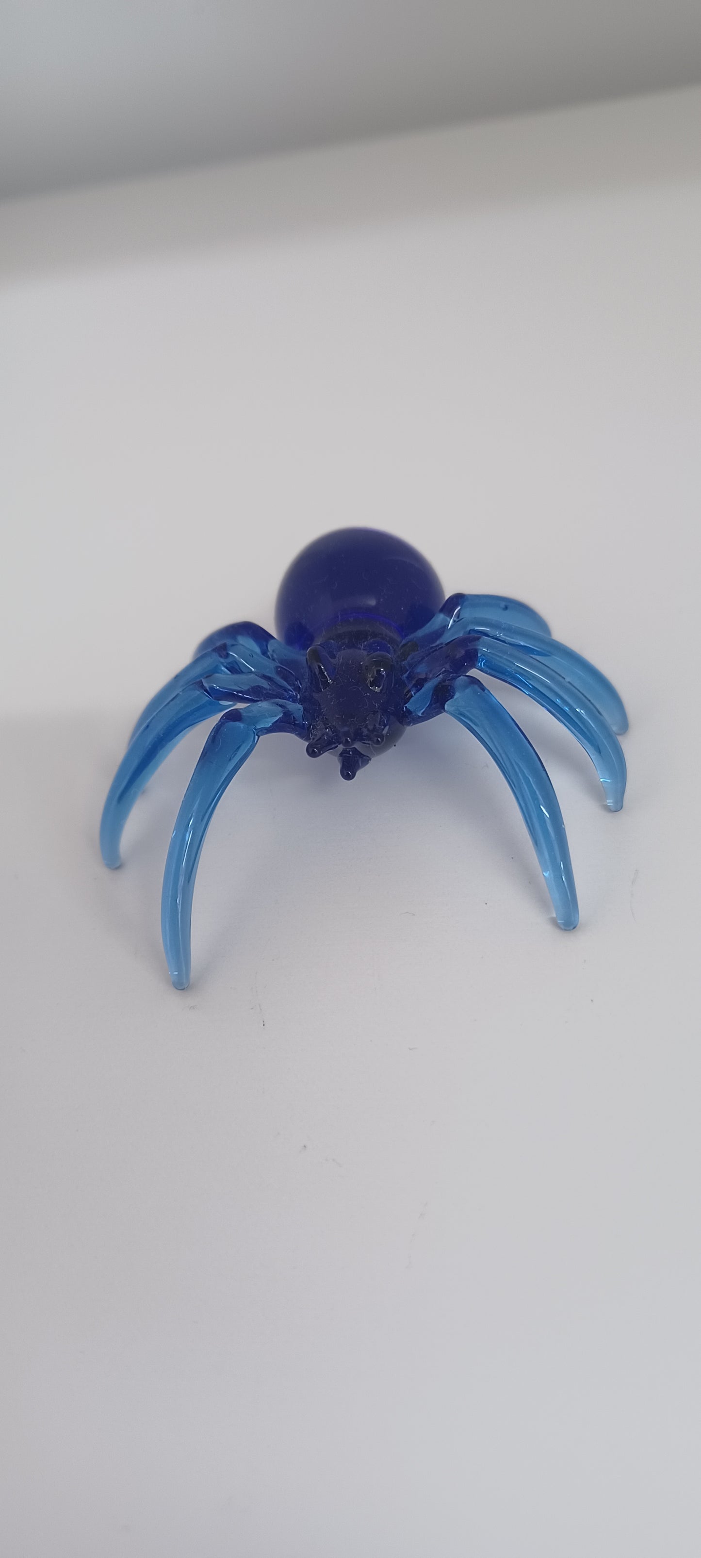 Glass Spider