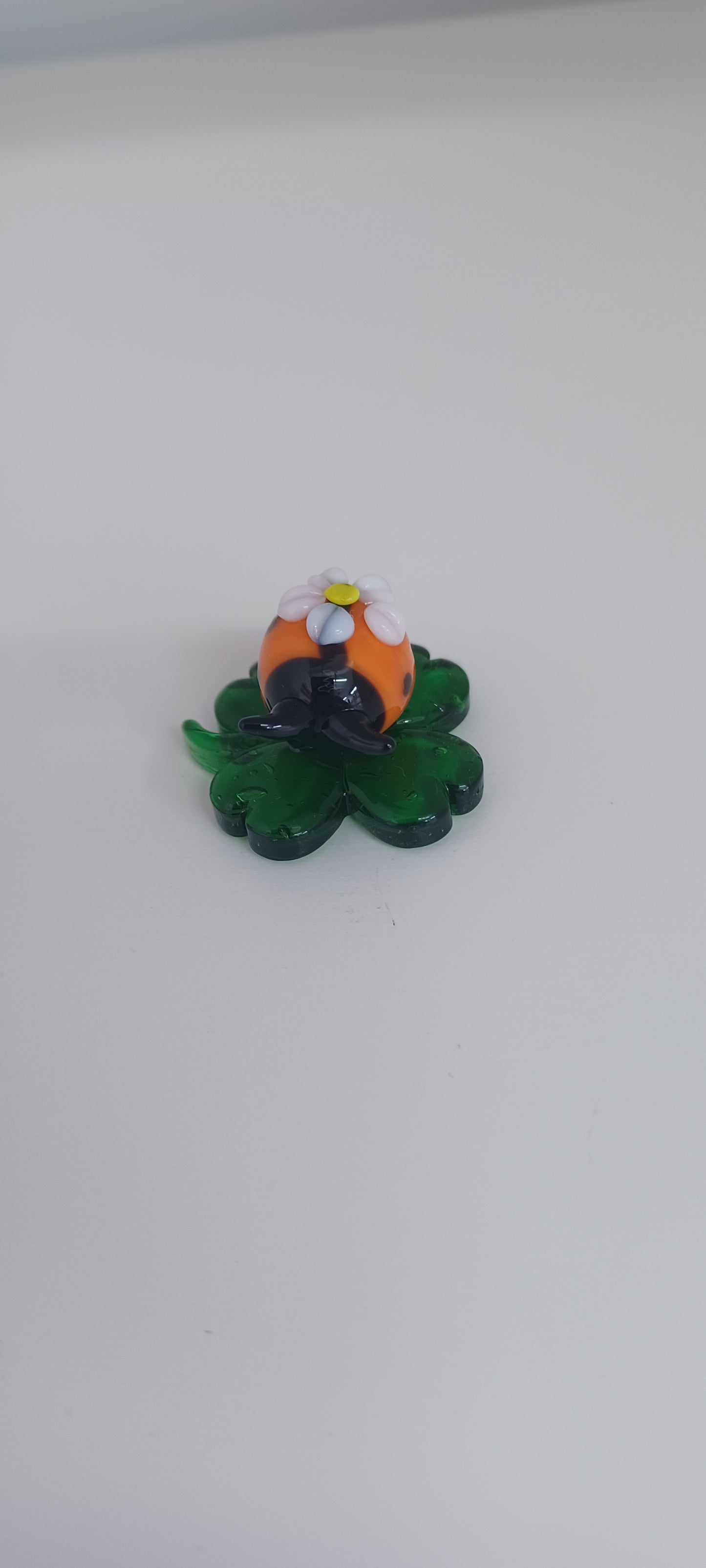Glass Ladybird