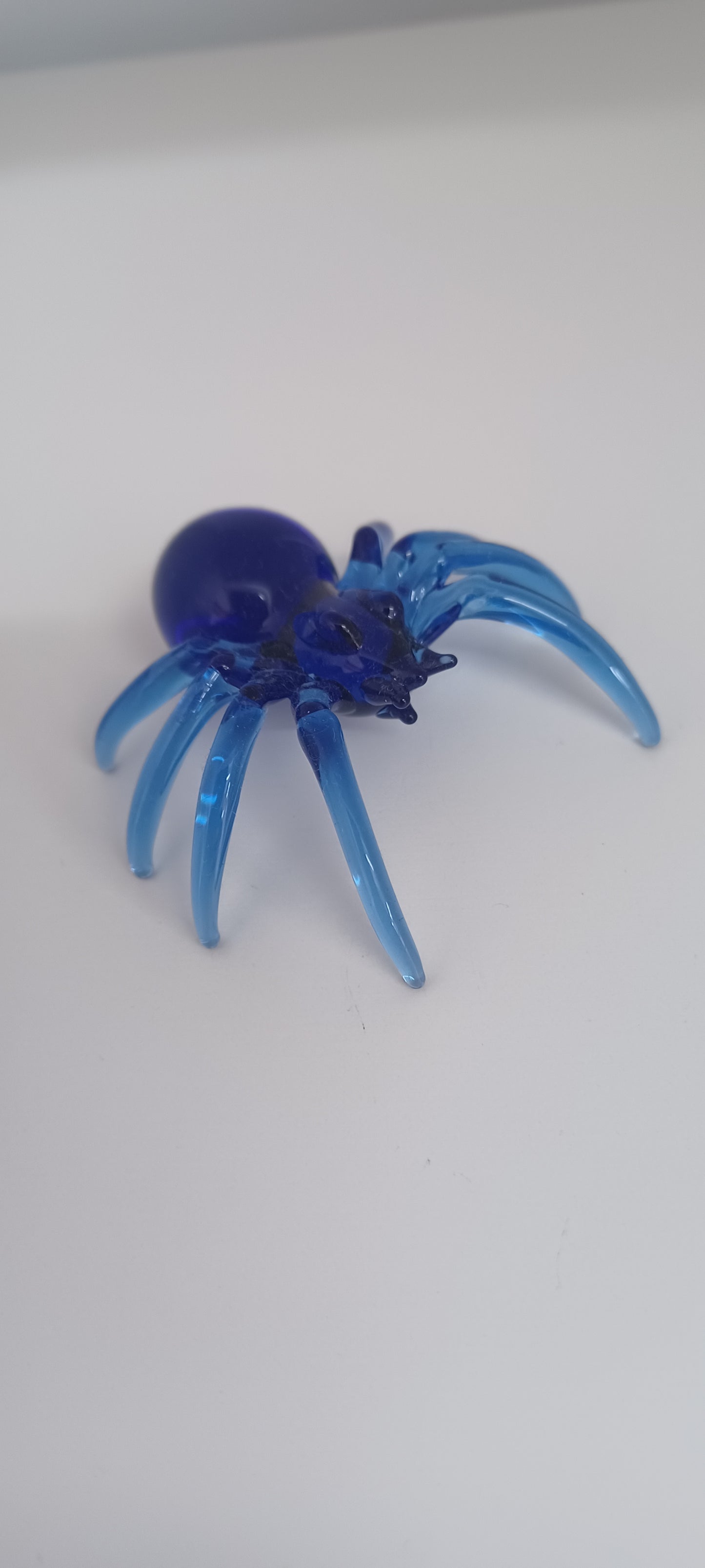 Glass Spider