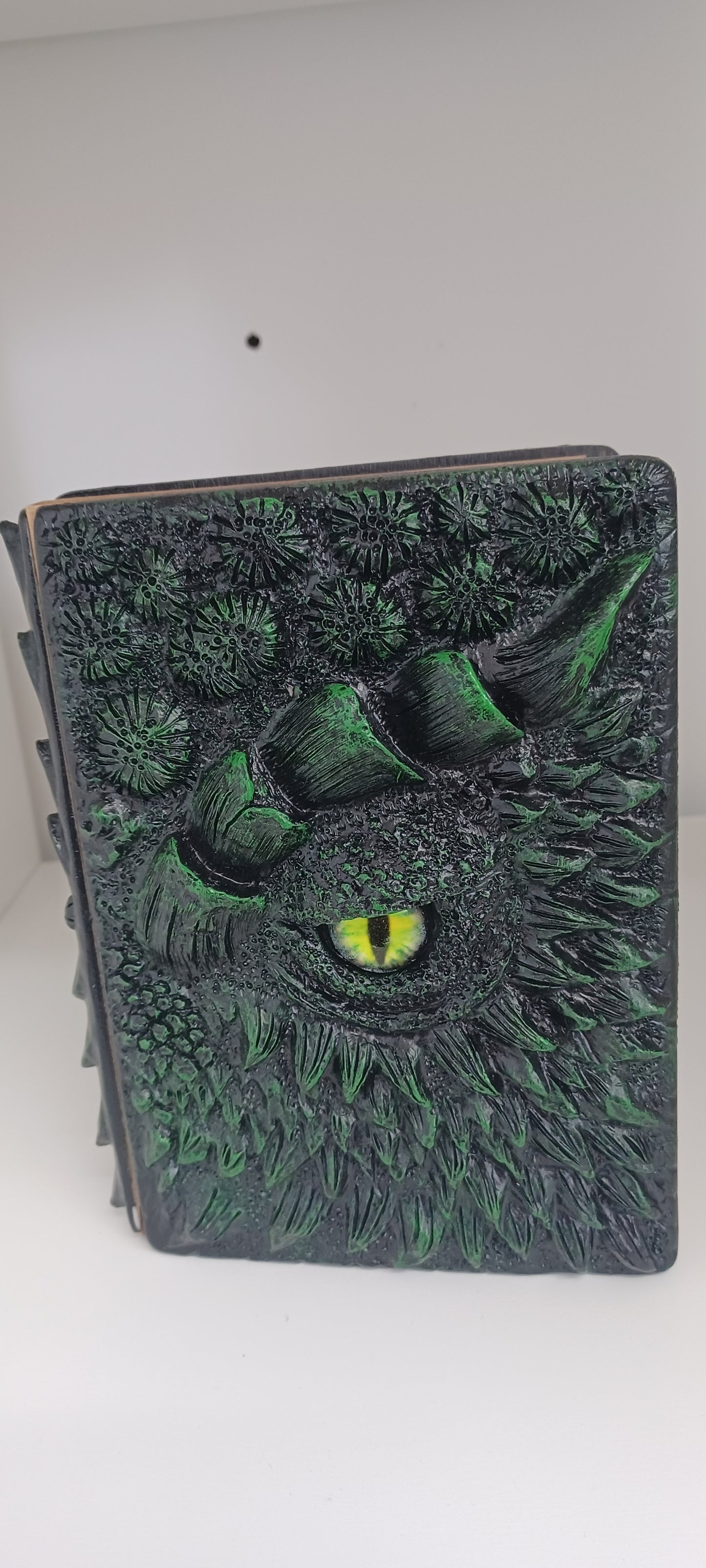 Dragon Eye Diary