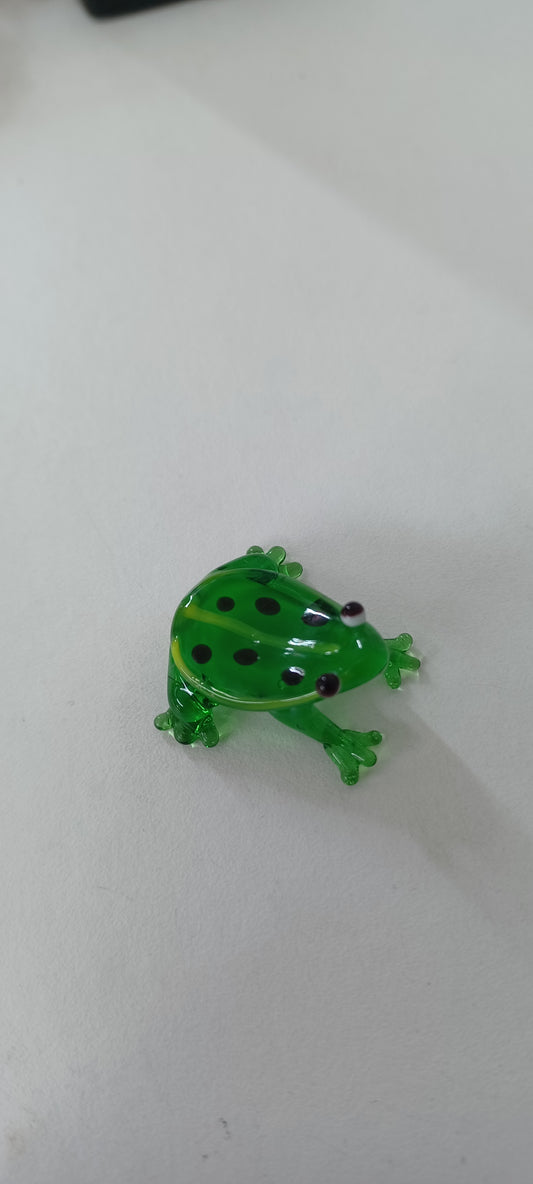 Glass Frog