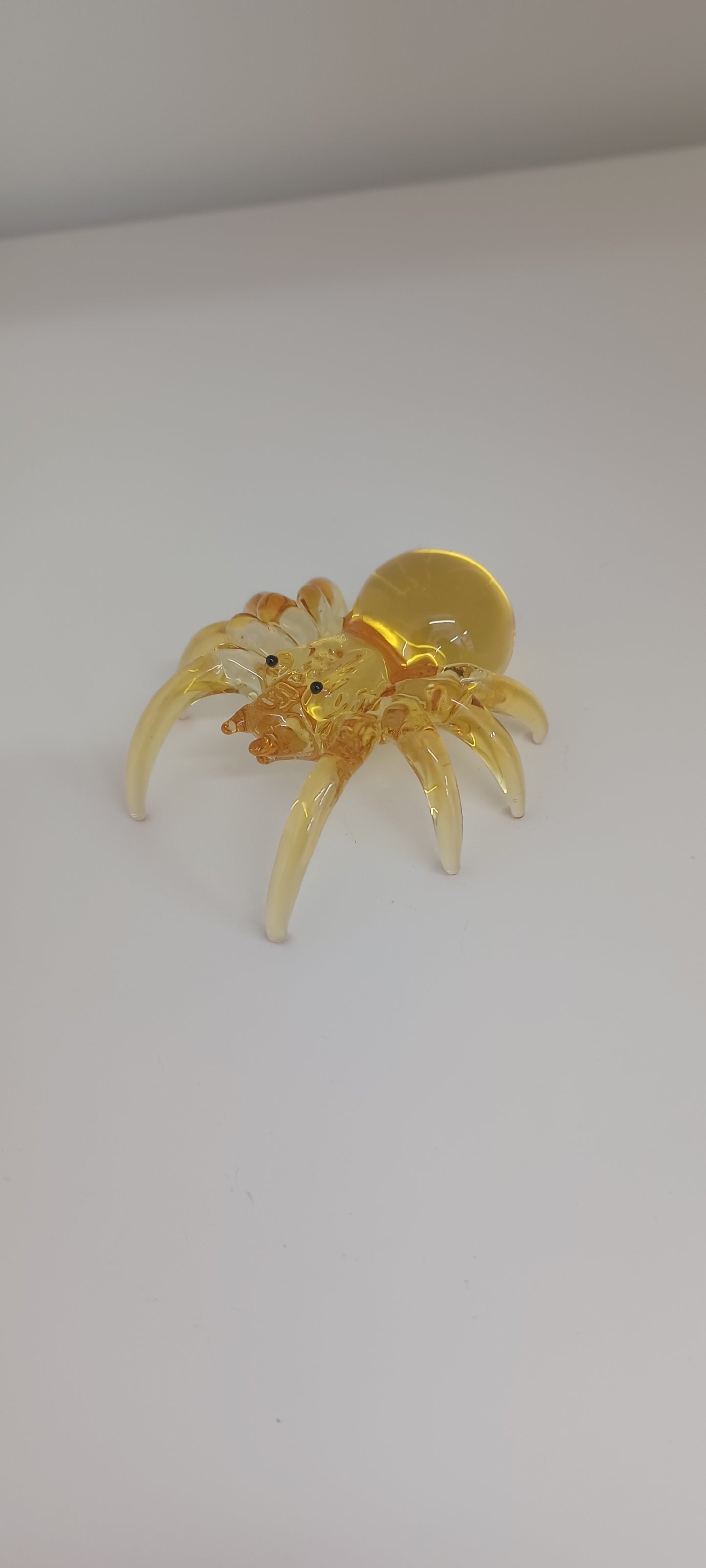 Glass Spider