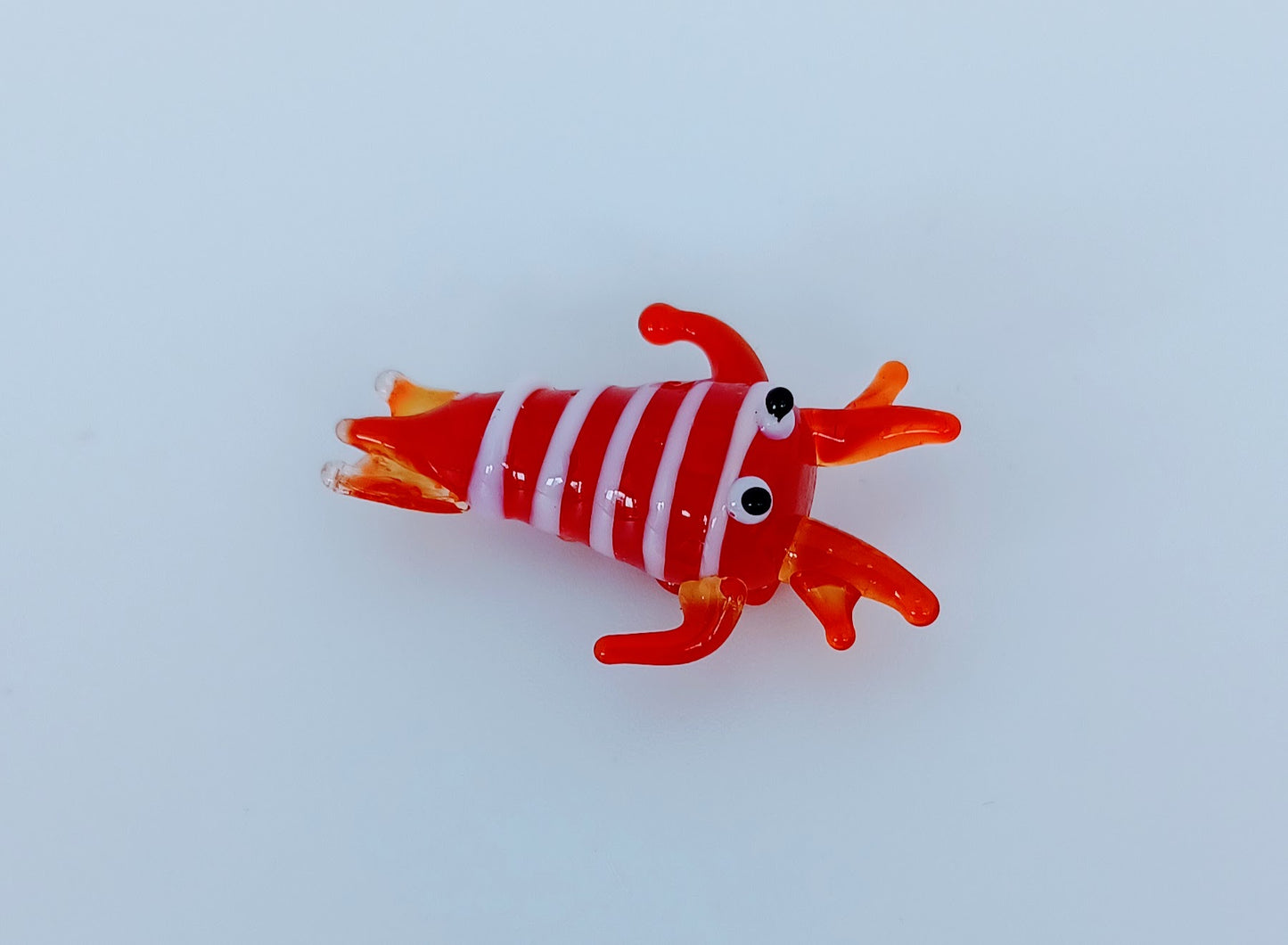 Glass Cuttlefish