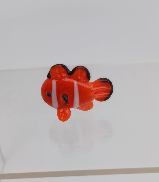 Glass Fish