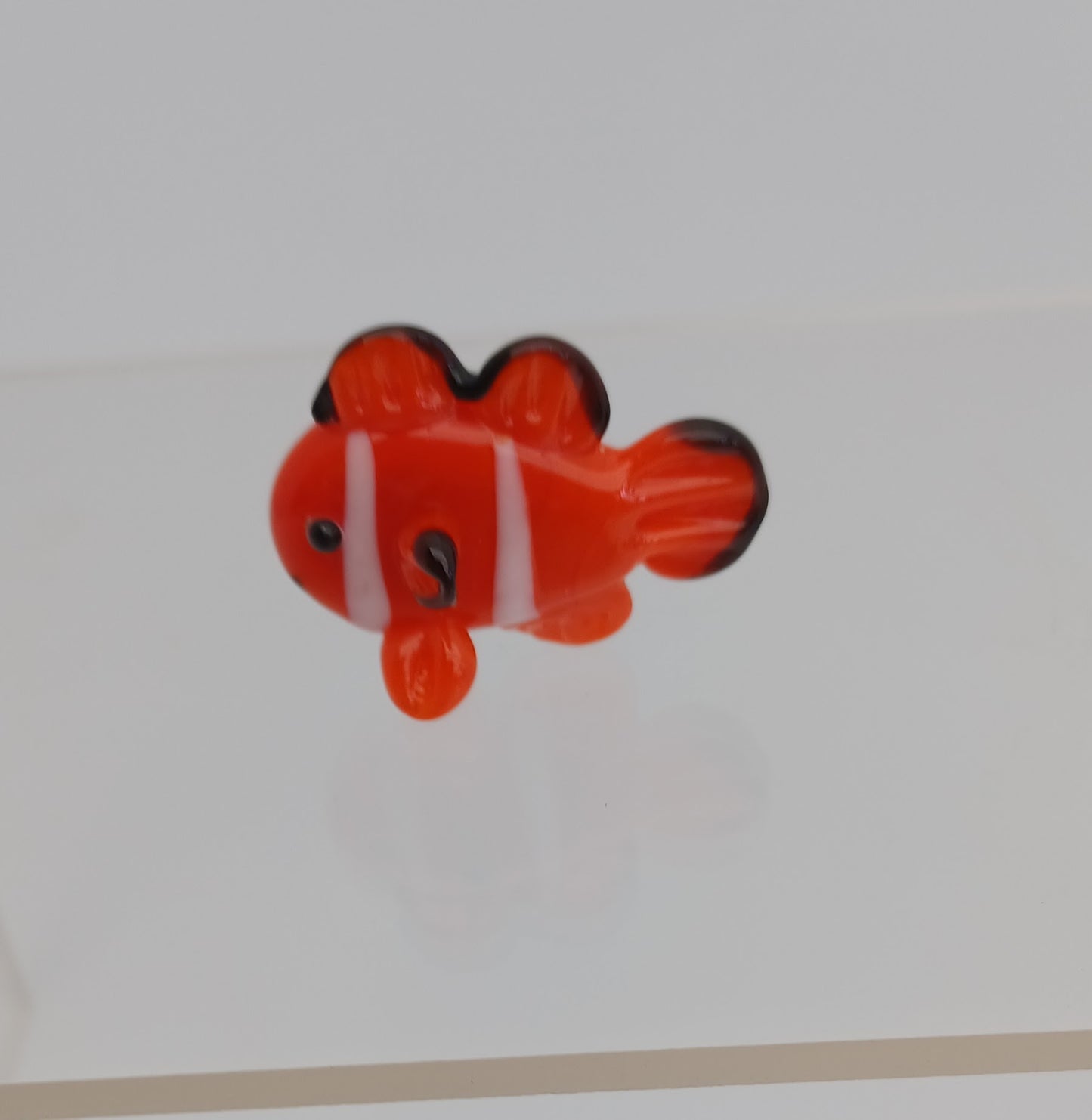 Glass Fish