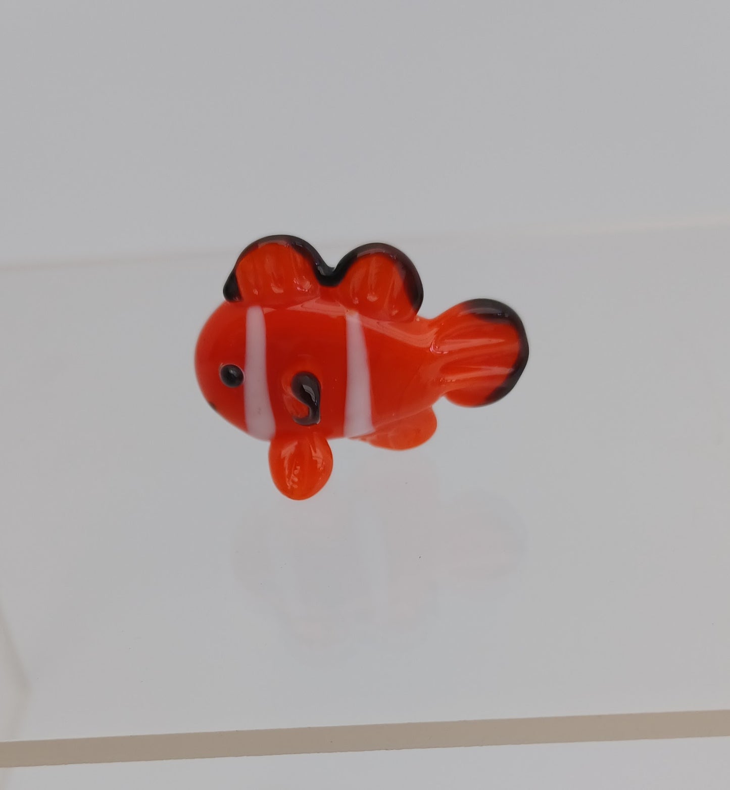 Glass Fish