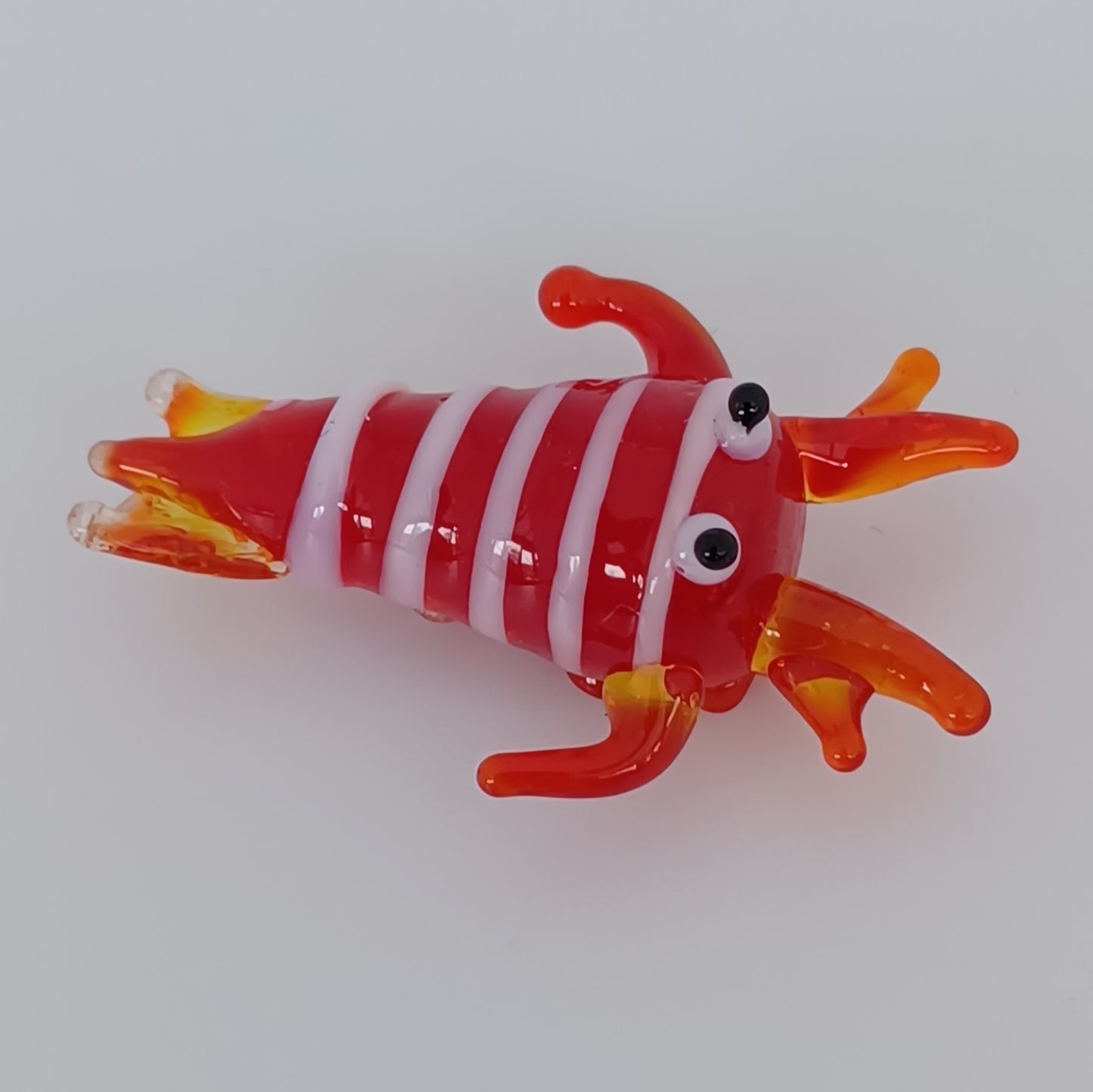 Glass Cuttlefish