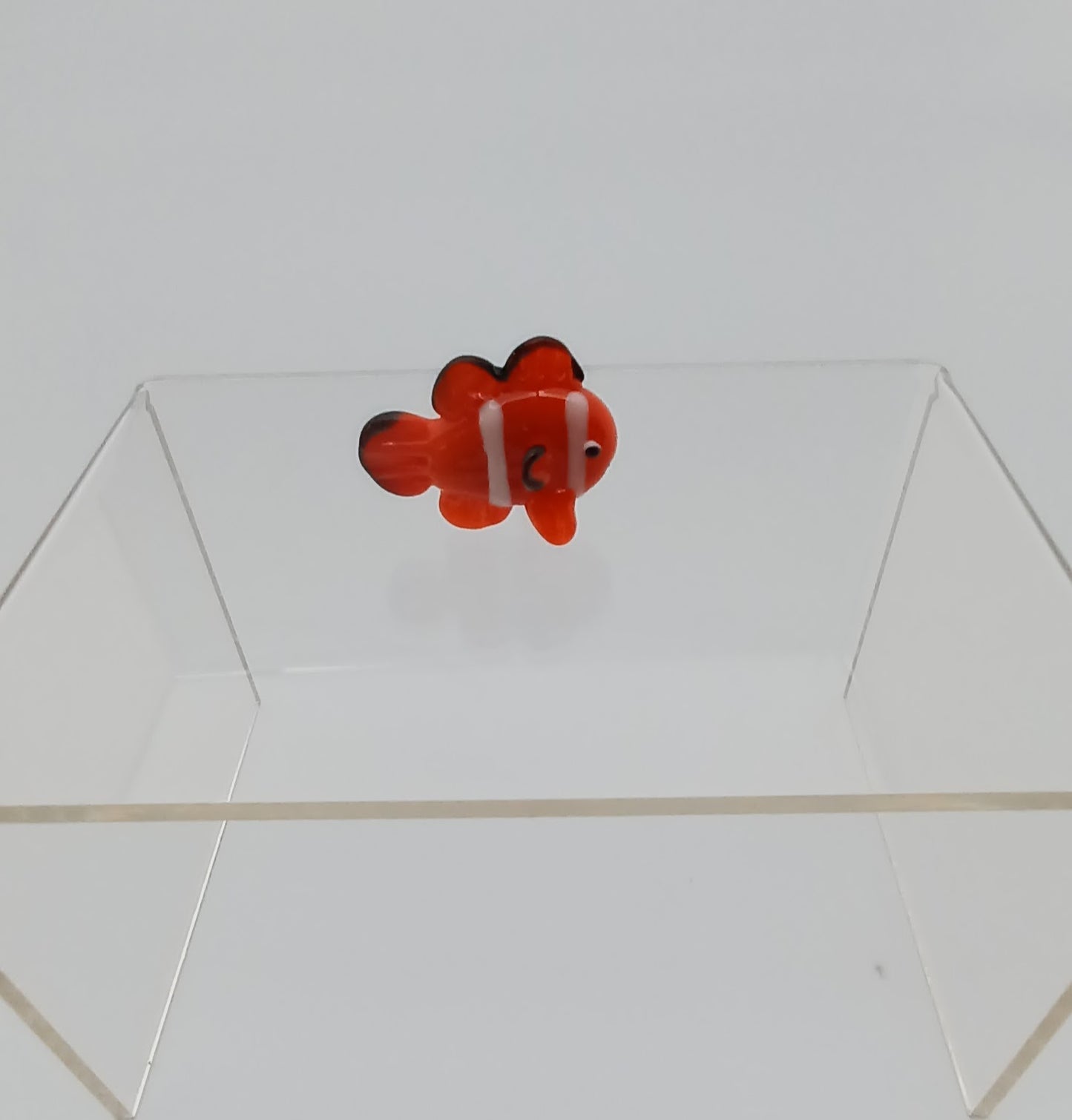 Glass Fish
