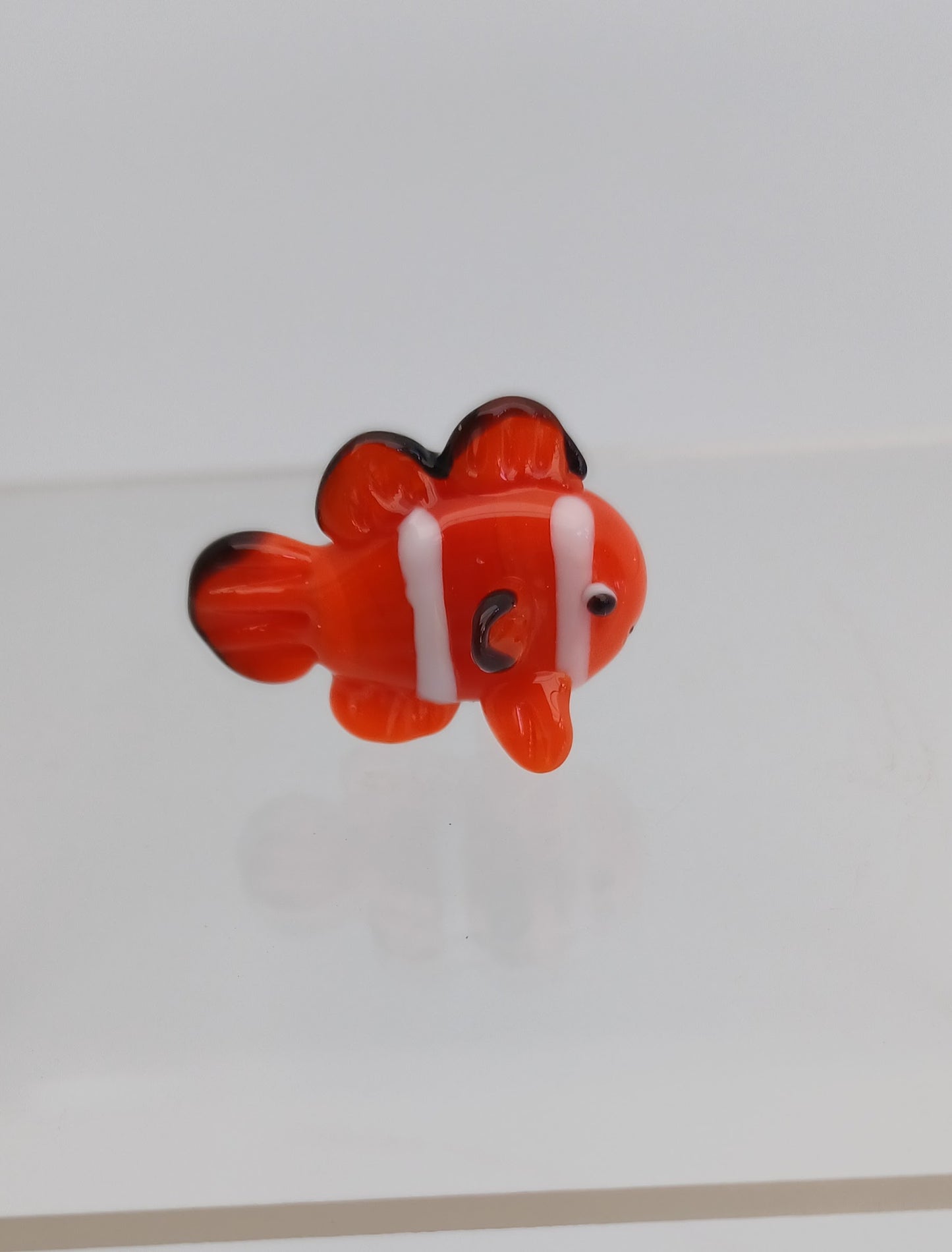 Glass Fish