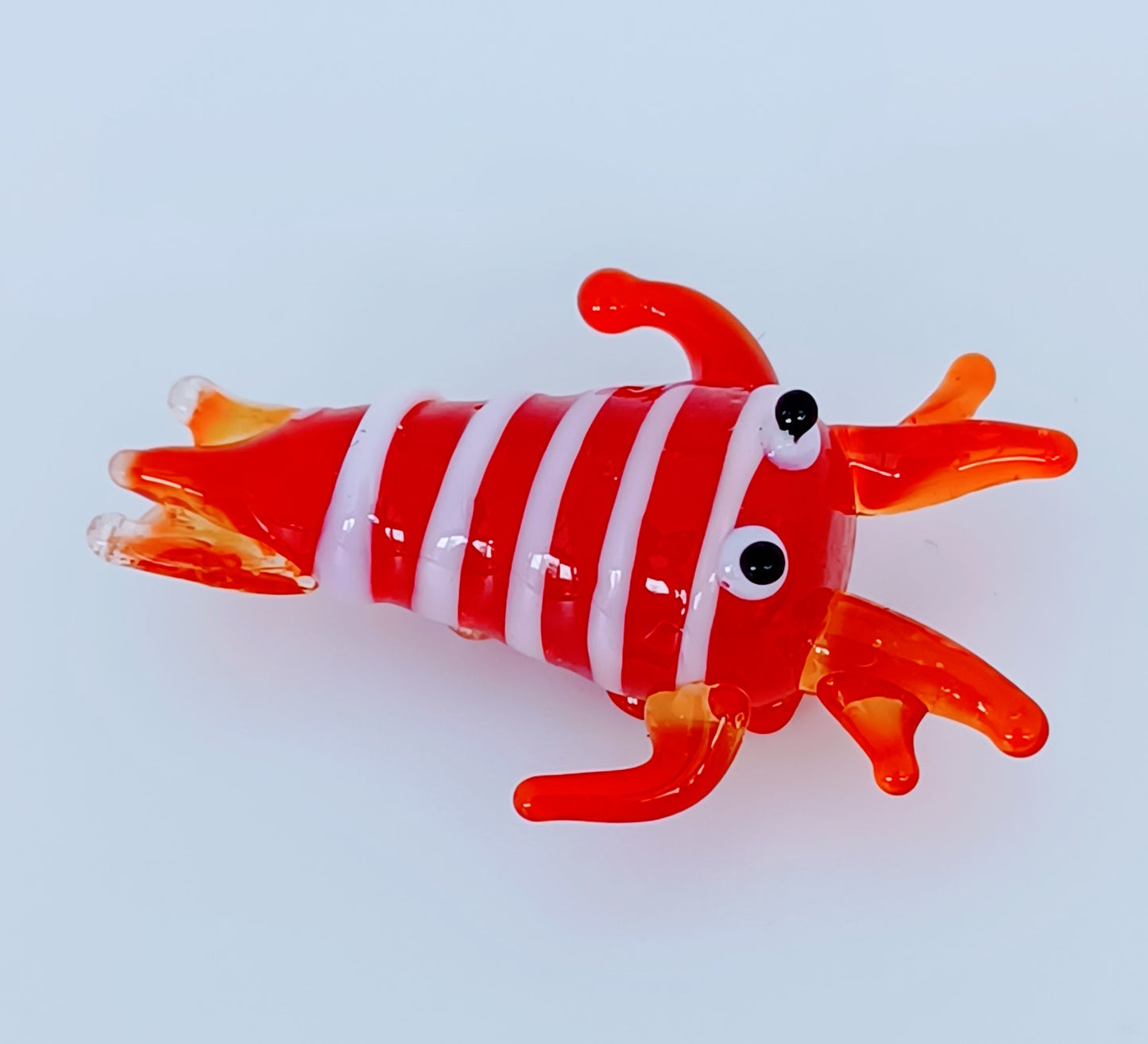 Glass Cuttlefish